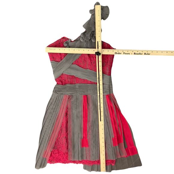 BCBGMAXAZRIA Runway Pink Lace Gray Mesh Ribbon Floral One Shoulder Dress Size 0 - Picture 3 of 12